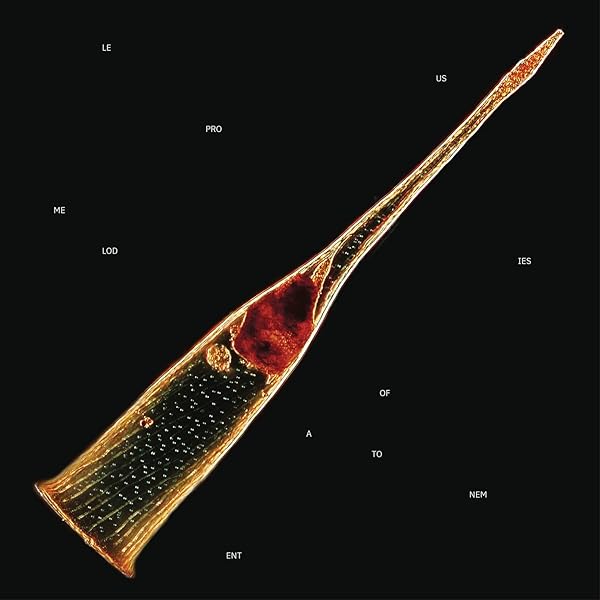 Leprous - Tall Poppy Syndrome - Amazon.com Music